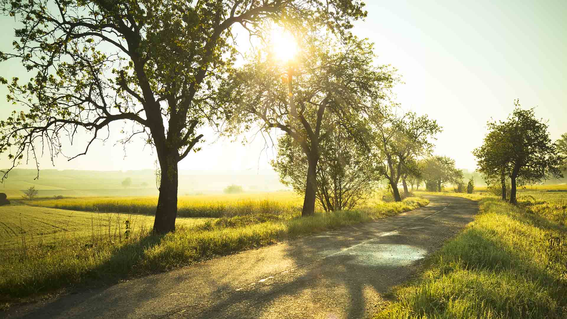 Sunrise over fields