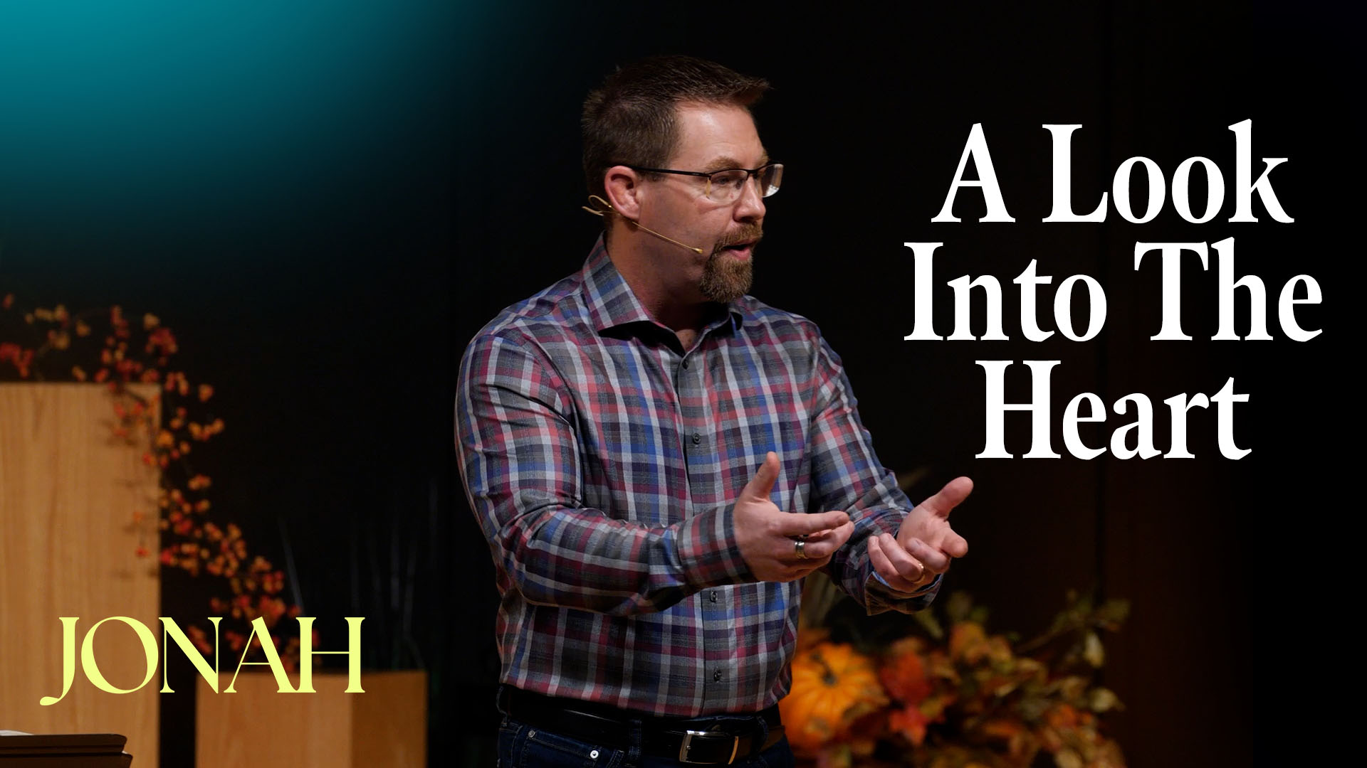 A Look Into the Heart