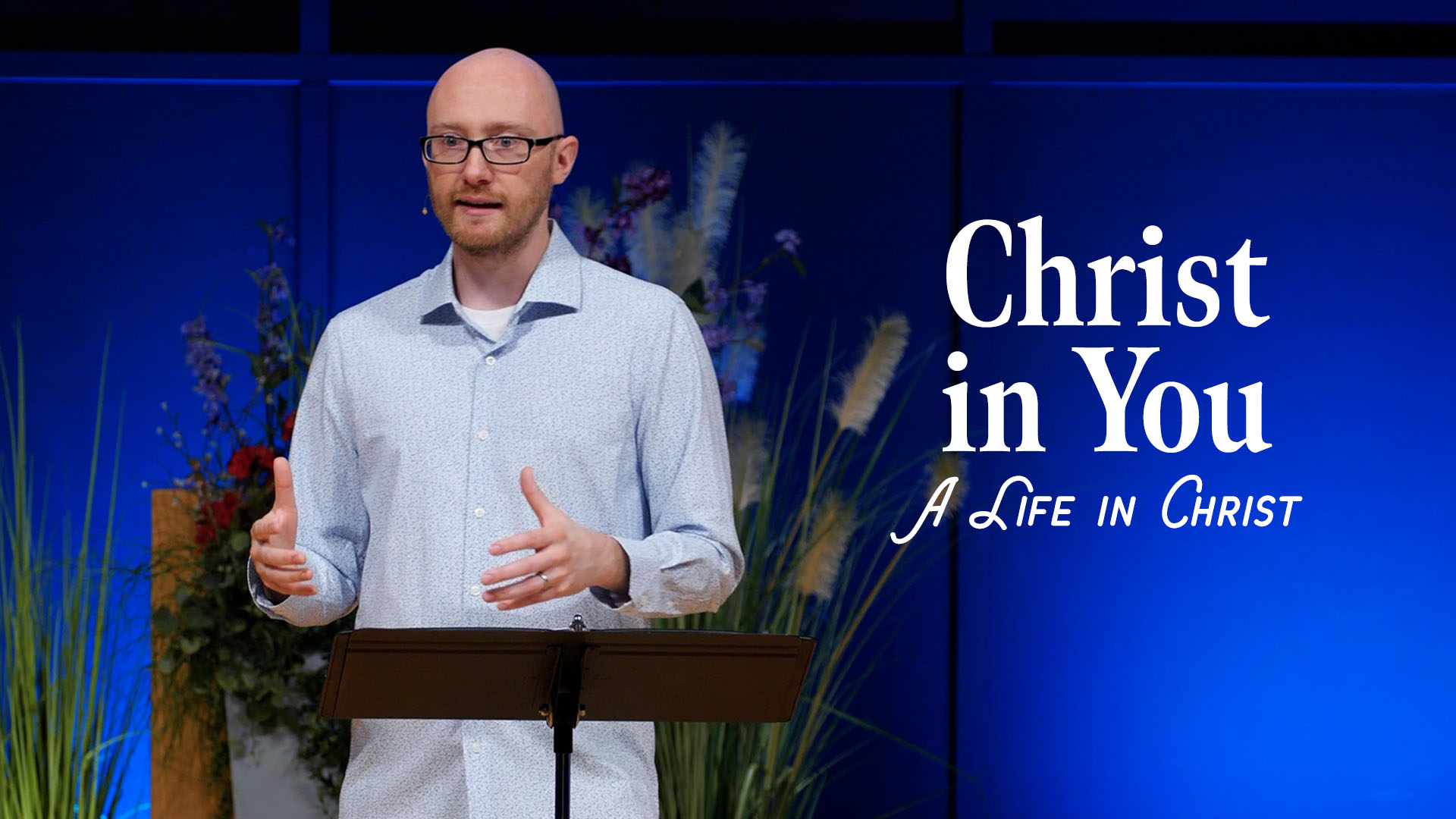 Featured image for “Christ in You”