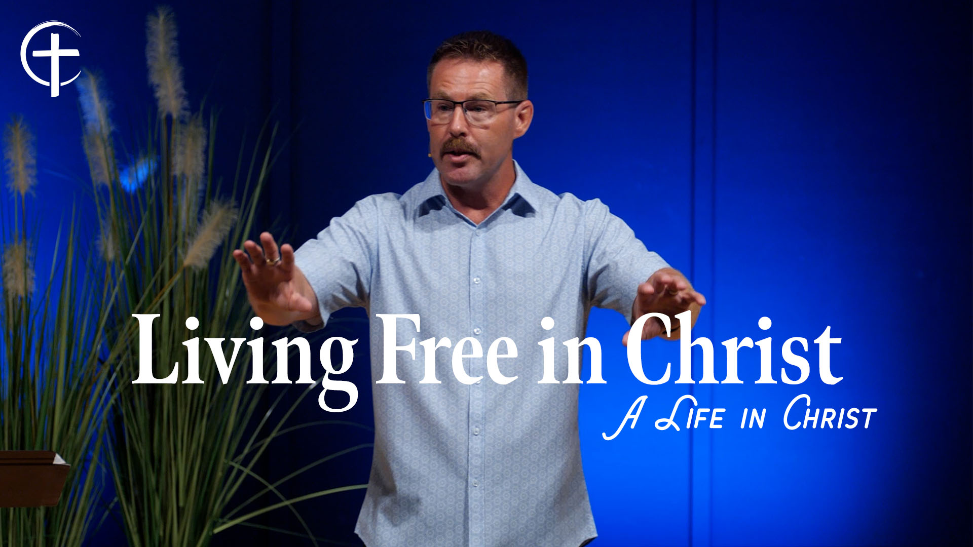 Featured image for “Living Free in Christ”