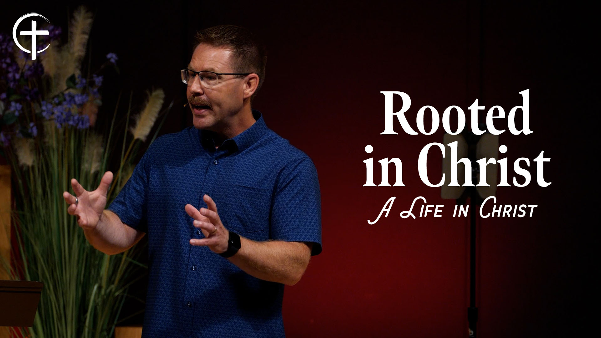 Featured image for “Rooted in Christ”