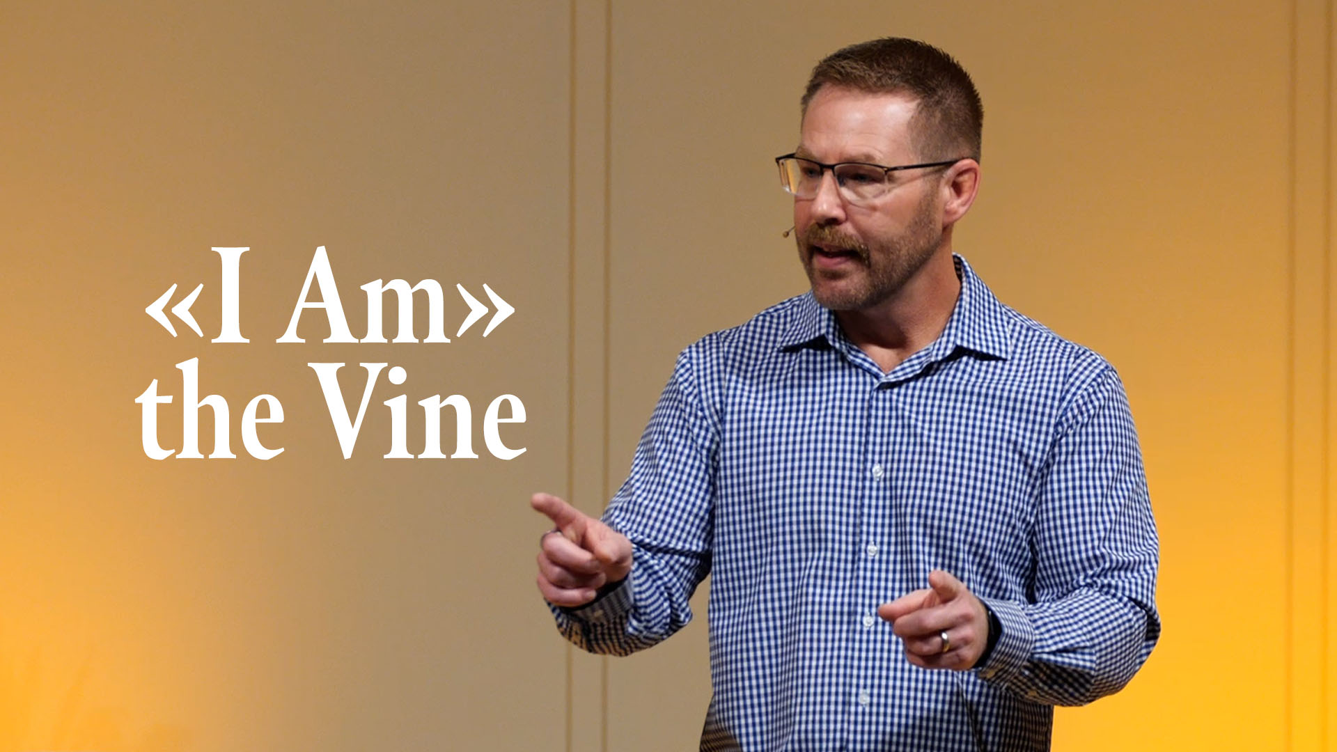 Featured image for ““I AM” the Vine”